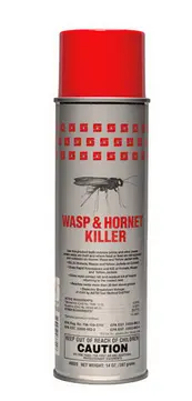 Insect Wasp Hornet Killer Aer 20oz 12/cs